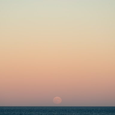 Chestnut Moon I Jim Nickelson