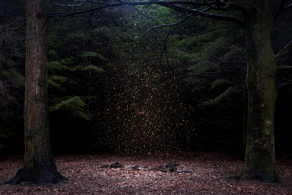 Stars 8 2014