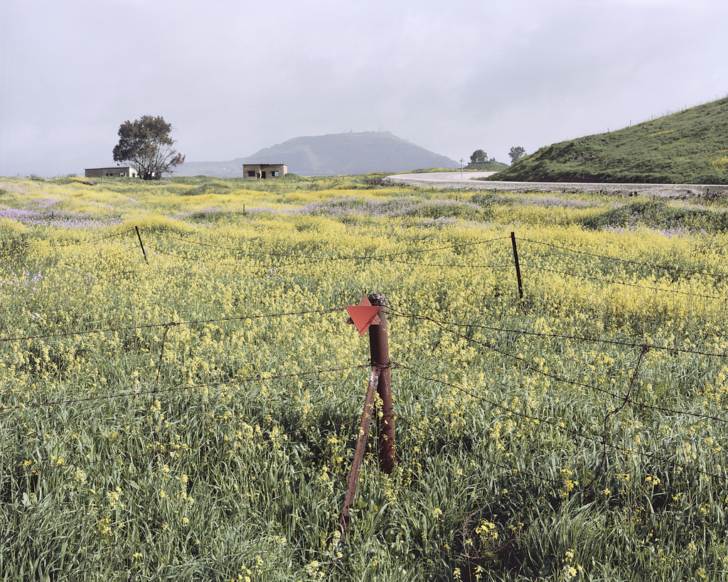 Minefield Golan Heights 2013