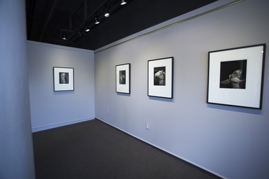 Horan Installation01