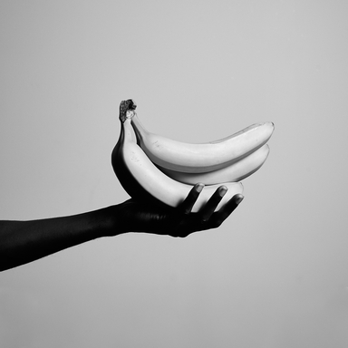 Lang Prince Master House bananna01