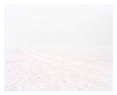 02 Tracks in Snow