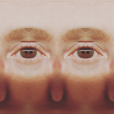 Life Framer Human Body 2 Hysteria Clevercloggs