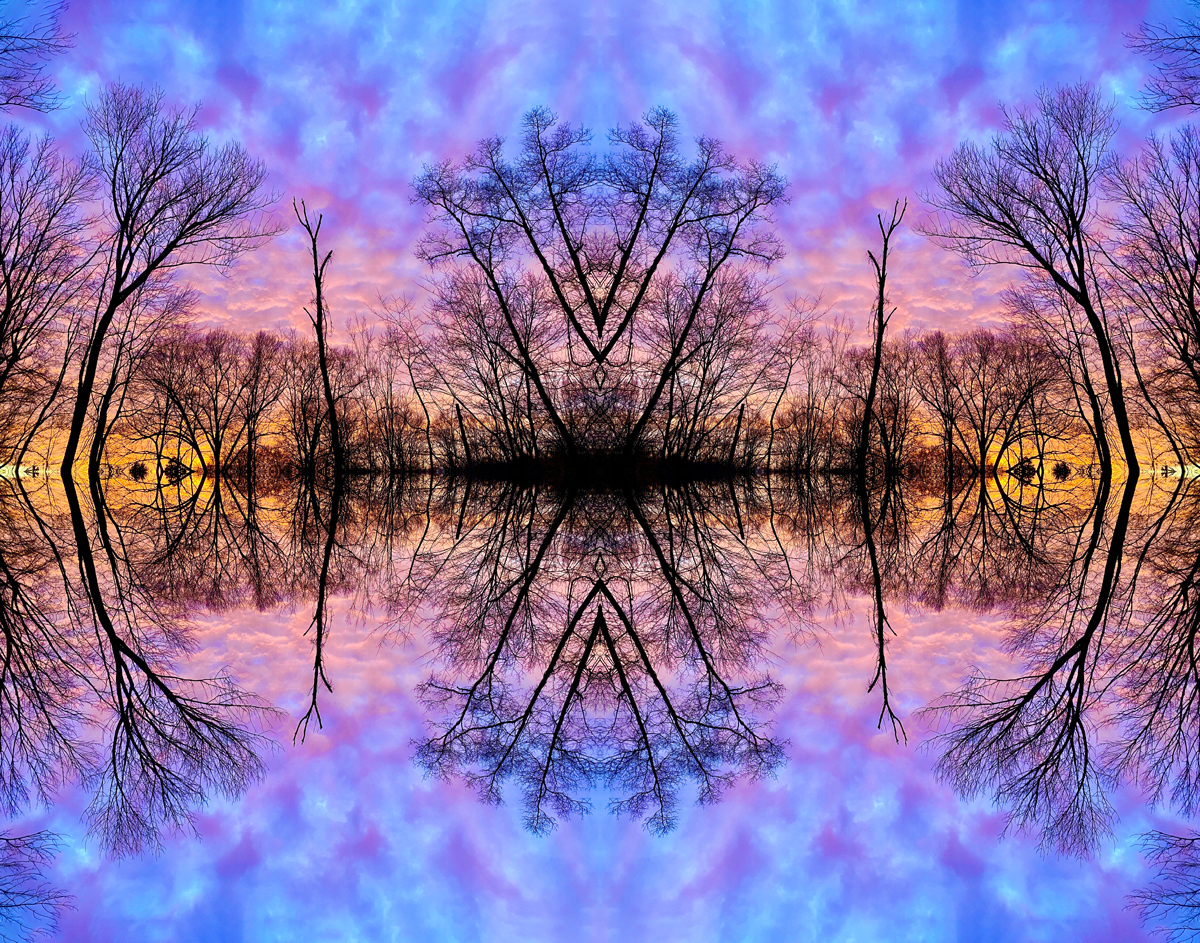 Bishay See within 28 X22
